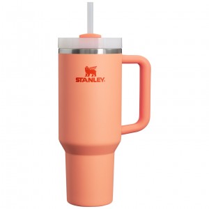 Stanley Adventure Quencher H2.0 Travel Tumbler | 40 oz Nectarine | QEHVP-4075