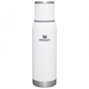 Stanley Adventure To-Go Bottle | 25 OZ Polar | ZIDLM-0365
