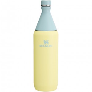 Stanley All Day Slim Bottle | 34 OZ Pomelo | UZPYV-3867
