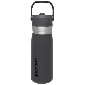 Stanley Go Flip Straw Water Bottle | 22 OZ | Insulated Bottle Charcoal | HKMVB-5682