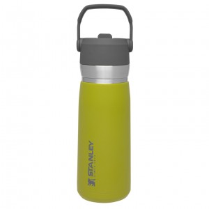 Stanley Go Flip Straw Water Bottle | 22 OZ | Insulated Bottle Aloe | BCVML-5394