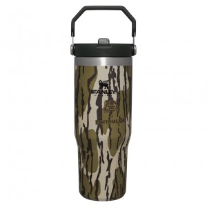 Stanley Hunt + Fish IceFlow™ Flip Straw Tumbler | 30 OZ Bottomland | ARVNU-5641