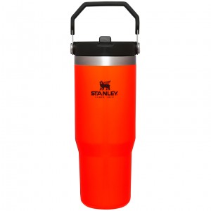 Stanley Hunt + Fish IceFlow™ Flip Straw Tumbler | 30 OZ Naranjas | HZKCF-5974