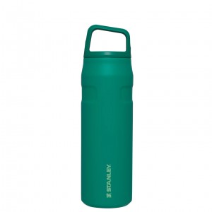 Stanley IceFlow™ Bottle with Cap and Carry+ Lid | 24 OZ Alpine | QYRVN-2378