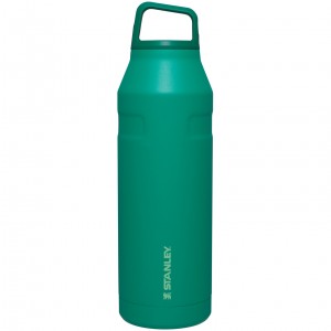 Stanley IceFlow™ Bottle with Cap and Carry+ Lid | 50 OZ Alpine | TOLPD-0476