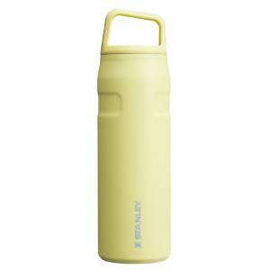 Stanley IceFlow™ Bottle with Cap and Carry+ Lid | 24 OZ Pomelo | PIYVC-1687