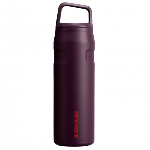 Stanley IceFlow™ Bottle with Cap and Carry+ Lid | 24 OZ Plum | ZWMQG-0386