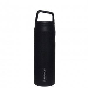 Stanley IceFlow™ Bottle with Cap and Carry+ Lid | 24 OZ Negros | DRVUA-3579