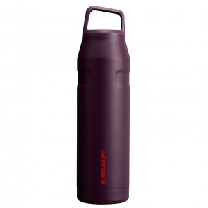 Stanley IceFlow™ Bottle with Cap and Carry+ Lid | 36 OZ Plum | RLOHW-2164