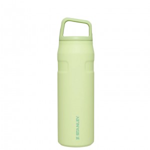 Stanley IceFlow™ Bottle with Cap and Carry+ Lid | 24 OZ Citron | DFIMX-9047