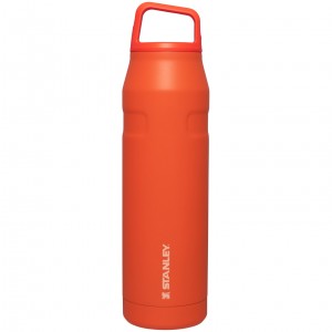Stanley IceFlow™ Bottle with Cap and Carry+ Lid | 36 OZ Tigerlily | UNDMF-7950