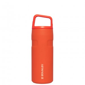 Stanley IceFlow™ Bottle with Cap and Carry+ Lid | 16 OZ Tigerlily | MCTZW-1602