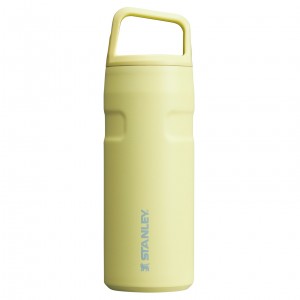 Stanley IceFlow™ Bottle with Cap and Carry+ Lid | 16 OZ Pomelo | CVLWU-7426