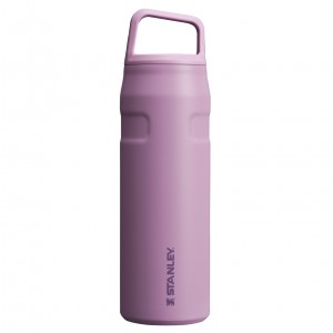 Stanley IceFlow™ Bottle with Cap and Carry+ Lid | 24 OZ Lilac | INTZB-8251