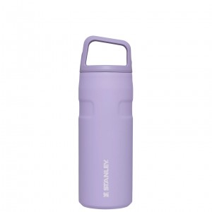 Stanley IceFlow™ Bottle with Cap and Carry+ Lid | 16 OZ Lavanda | UNTQJ-9613