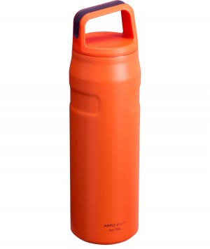 Stanley IceFlow™ Bottle with Cap and Carry+ Lid | 24 OZ Tigerlily Plum | ISYGN-9853