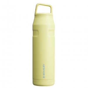 Stanley IceFlow™ Bottle with Cap and Carry+ Lid | 36 OZ Pomelo | OJMWU-6083