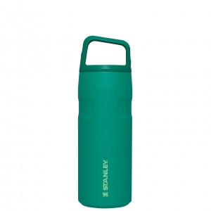 Stanley IceFlow™ Bottle with Cap and Carry+ Lid | 16 OZ Alpine | SZLOI-5482