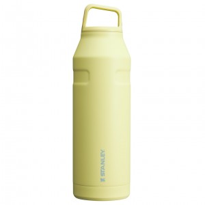 Stanley IceFlow™ Bottle with Cap and Carry+ Lid | 50 OZ Pomelo | QZEHY-9837