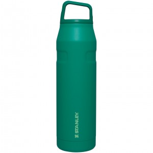 Stanley IceFlow™ Bottle with Cap and Carry+ Lid | 36 OZ Alpine | DEGSB-8650