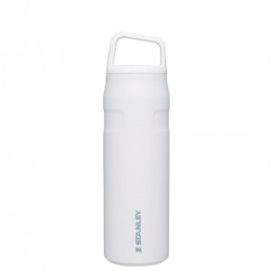 Stanley IceFlow™ Bottle with Cap and Carry+ Lid | 24 OZ Polar | NSGKY-0359