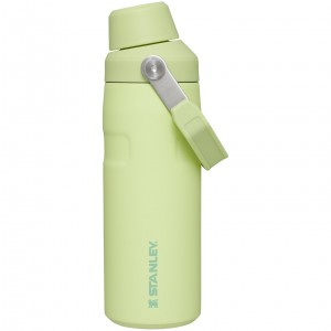 Stanley IceFlow™ Bottle with Fast Flow Lid | 16 OZ Citron | MWRUJ-3419