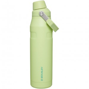 Stanley IceFlow Insulated Bottle with Fast Flow Lid | 36 OZ Citron | YSTVW-5928