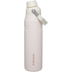 Stanley IceFlow Insulated Bottle with Fast Flow Lid | 36 OZ Rosas | NKQTJ-6409