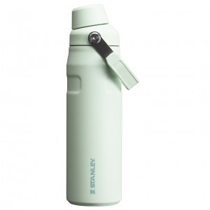 Stanley IceFlow Insulated Bottle with Fast Flow Lid | 24 OZ Mist | ERMTC-9082