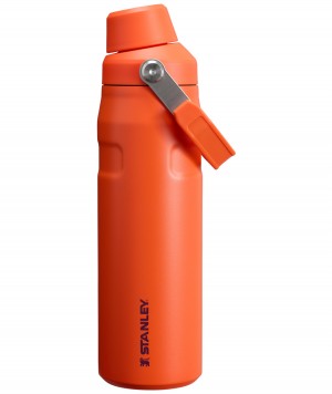Stanley IceFlow Insulated Bottle with Fast Flow Lid | 24 OZ Tigerlily Plum | SMYTQ-8519