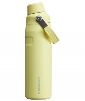 Stanley IceFlow Insulated Bottle with Fast Flow Lid | 24 OZ Pomelo | UQPKF-9856