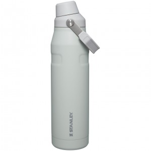 Stanley IceFlow Insulated Bottle with Fast Flow Lid | 36 OZ Fog Glimmer | ALBRW-7163