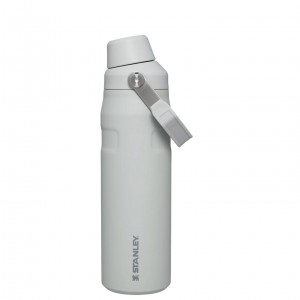Stanley IceFlow Insulated Bottle with Fast Flow Lid | 24 OZ Fog Glimmer | TCWNA-6210
