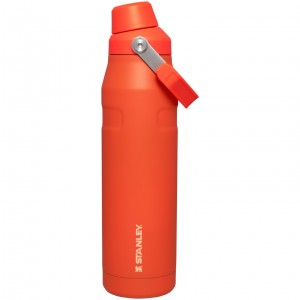 Stanley IceFlow Insulated Bottle with Fast Flow Lid | 36 OZ Tigerlily | YSCWB-4802