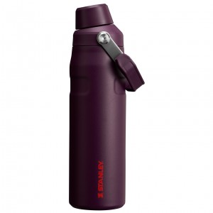Stanley IceFlow Insulated Bottle with Fast Flow Lid | 24 OZ Plum | DQCAS-6537