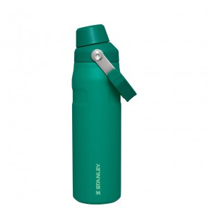 Stanley IceFlow Insulated Bottle with Fast Flow Lid | 24 OZ Alpine | MJUGI-1395