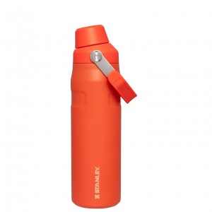 Stanley IceFlow Insulated Bottle with Fast Flow Lid | 24 OZ Tigerlily | KUOED-3185