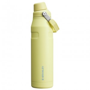 Stanley IceFlow Insulated Bottle with Fast Flow Lid | 36 OZ Pomelo | OKNVL-0716