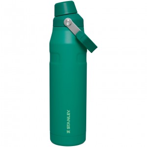 Stanley IceFlow Insulated Bottle with Fast Flow Lid | 36 OZ Alpine | NYOUD-0127