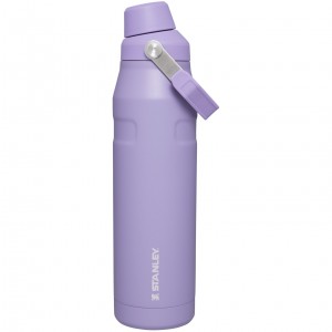 Stanley IceFlow Insulated Bottle with Fast Flow Lid | 36 OZ Lavanda | WYJOU-1438