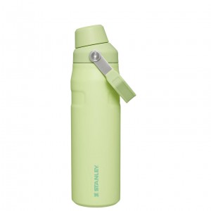Stanley IceFlow Insulated Bottle with Fast Flow Lid | 24 OZ Citron | ODTKV-7509