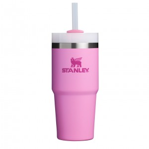 Stanley Quencher H2.0 Travel Tumbler | 14 OZ Peony | WRNDI-4319