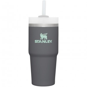 Stanley Quencher H2.0 Travel Tumbler | 14 OZ Charcoal | ANOTI-3241