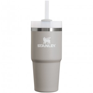 Stanley Quencher H2.0 Travel Tumbler | 14 OZ Ash | PTJUA-3274