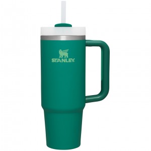 Stanley Quencher H2.0 Travel Tumbler | 30 OZ Alpine | UOYVG-4361