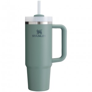 Stanley Quencher H2.0 Travel Tumbler | 30 OZ Shale | VTUHM-9724