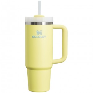 Stanley Quencher H2.0 Travel Tumbler | 30 OZ Pomelo | MNCHG-5493