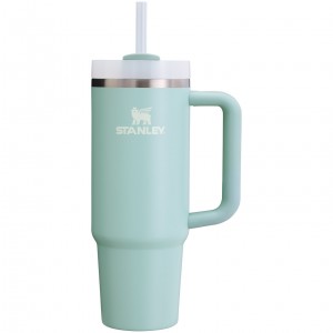 Stanley Quencher H2.0 Travel Tumbler | 30 OZ Seafoam | GWJFQ-3681