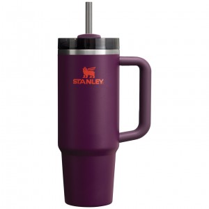 Stanley Quencher H2.0 Travel Tumbler | 30 OZ Plum | XREQB-3067