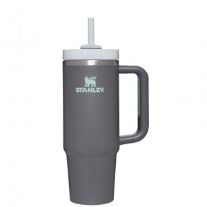 Stanley Quencher H2.0 Travel Tumbler | 30 OZ Charcoal | ASXOY-9178